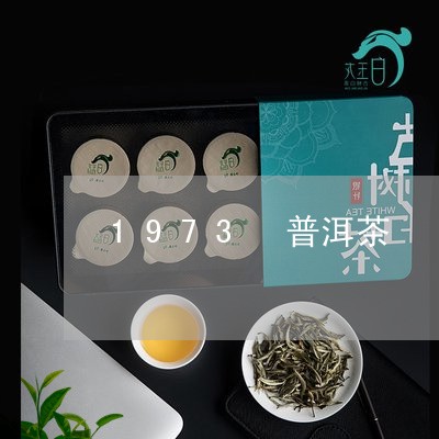 1973 普洱茶/2023041232817